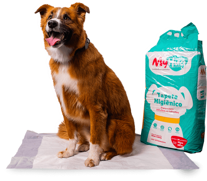 Cachorro de pelagem laranja, sentado ao lado de um produto da marca Myhug - especificamente um tapete higiênico