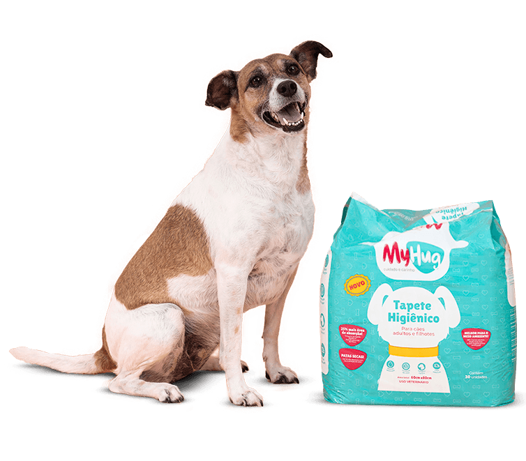 Cachorro de pelagem laranja, sentado ao lado de um produto da marca Myhug - especificamente um tapete higiênico